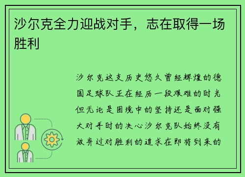 沙尔克全力迎战对手，志在取得一场胜利